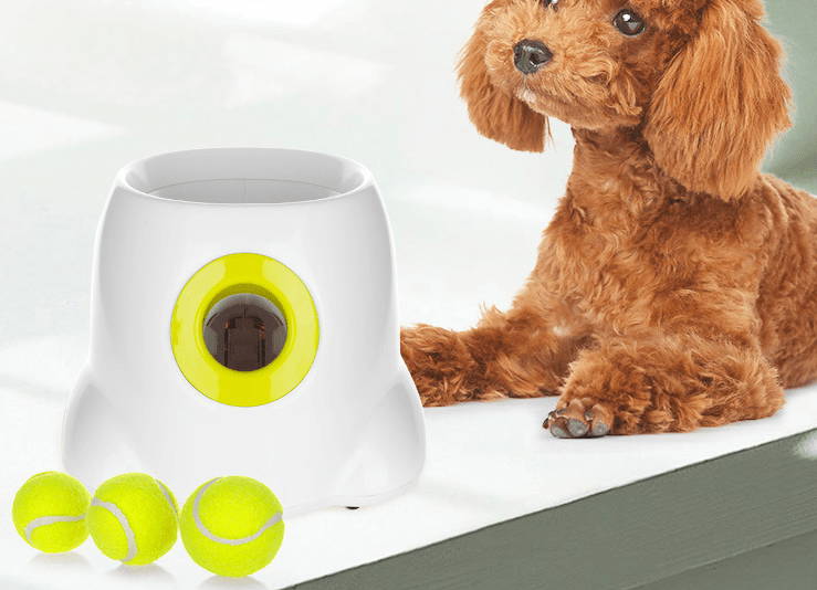 Automatic Dog Ball Launcher Interactive Pet Toy For Fetch - Temu